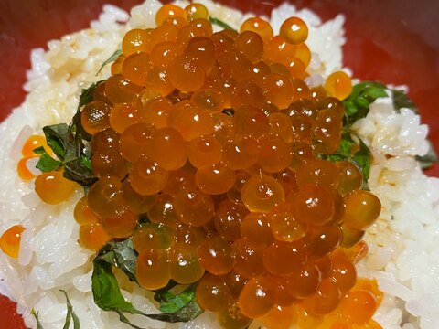 簡単にできてしまう　いくら丼